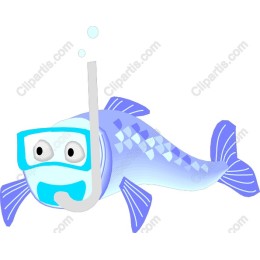 Adorable Snorkeling Fish