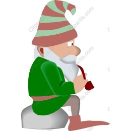 Whimsical Gnome