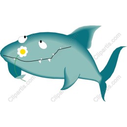 Charming Shark