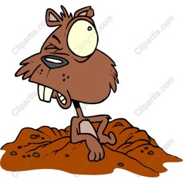 Quirky Cartoon Beaver