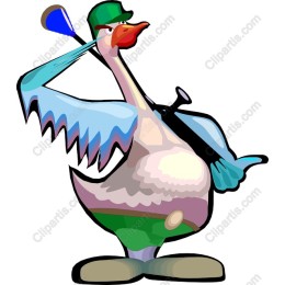 Playful Goose