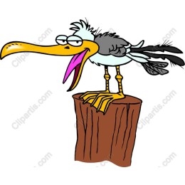 Quirky Bird on Log
