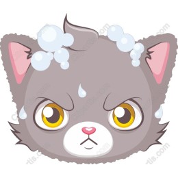 Sassy Soap Cat