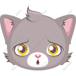 Cute Grey Kitten Face