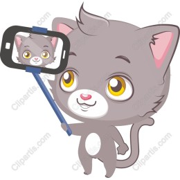 Selfie Cat