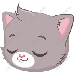 Adorable Gray Cat Face