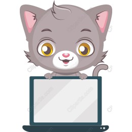 Gray Cat with Laptop
