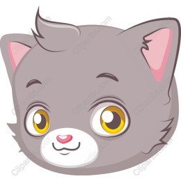 Adorable Gray Cat Face