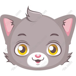 Adorable Grey Cat