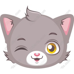 Winking Cat Face