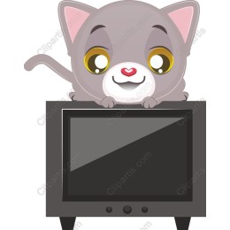 Adorable Gray Kitten on Television