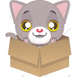 Cute Kitten in a Box