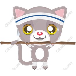 Sporty Cat