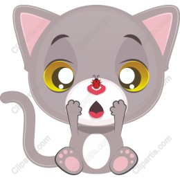 Surprised Kitty