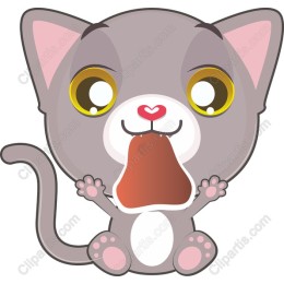 Adorable Playful Cat