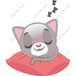 Sleepy Cat