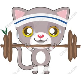 Energetic Fitness Cat