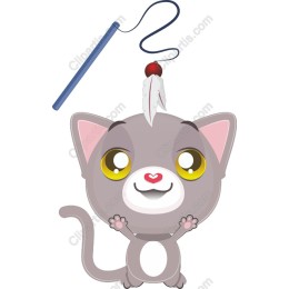 Charming Gray Kitten