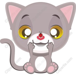Playful Kitten with Ladybug