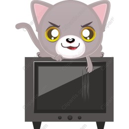 Playful Kitty on TV
