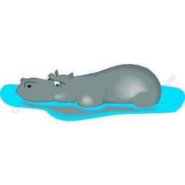 Charming Hippo