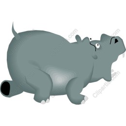 Playful Hippo
