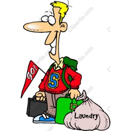 Laundry Day Champion