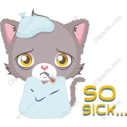 So Sick Cat