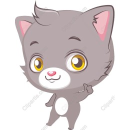 Playful Gray Kitten