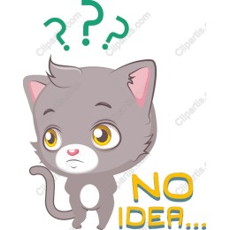 Puzzled Kitten - NO IDEA...