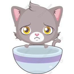 Hungry Kitten