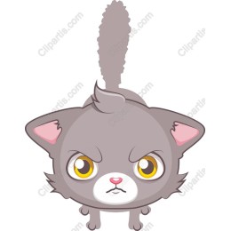 Angry Gray Cat