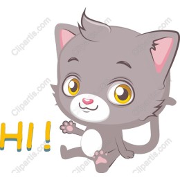 Cute Gray Kitten - Hello!