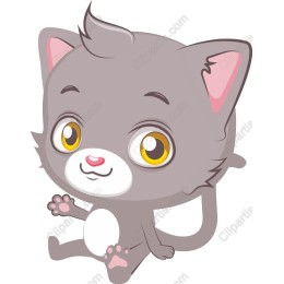 Adorable Gray Kitten