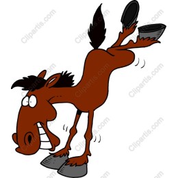 Playful Horse