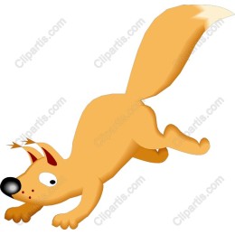 Playful Squirrel
