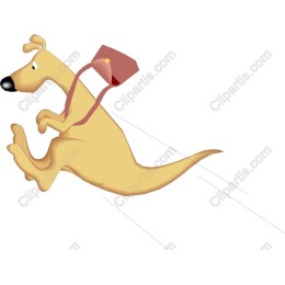 Playful Kangaroo