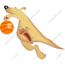 Energetic Kangaroo Basketball