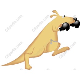 Playful Puppy Carrying Shoes