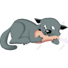 Playful Cat with Chicken Bone
