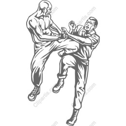 Dynamic Martial Arts Combat