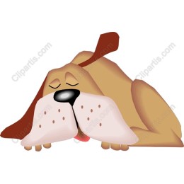 Adorable Sleeping Dog