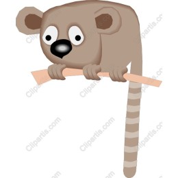Playful Lemur