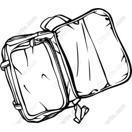 Stylish Versatile Bag