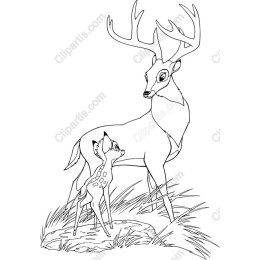 Majestic Deer and Fawn