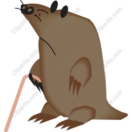 Charming Cartoon Mole