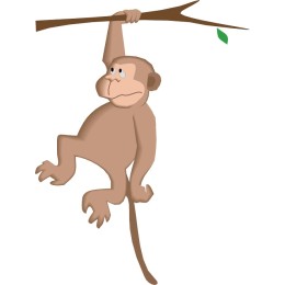 Playful Monkey