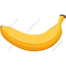 Vibrant Banana