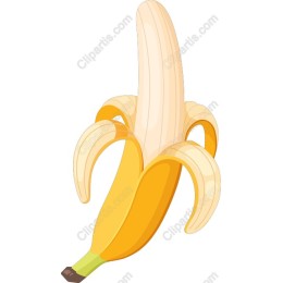 Vibrant Banana