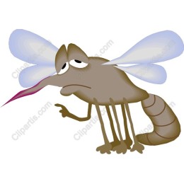 Sassy Mosquito